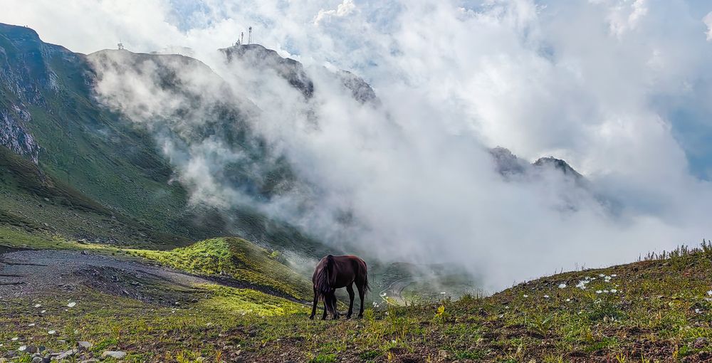 Photograph by Анастасия Семилетова