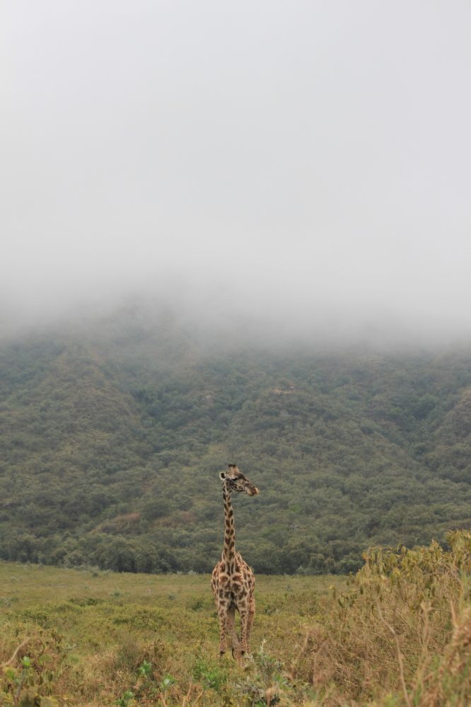 Photo #12505151