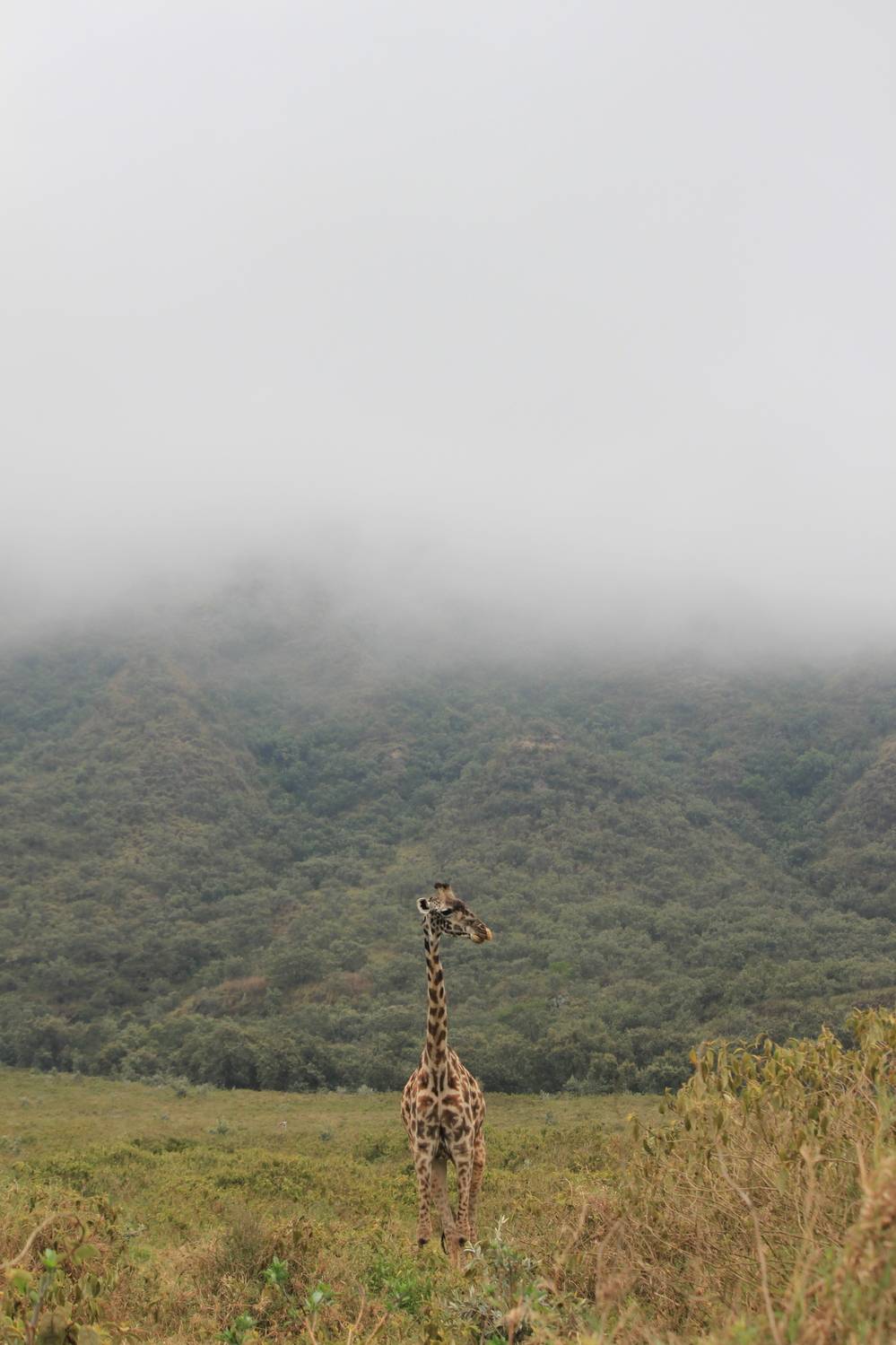 Photo #12505151