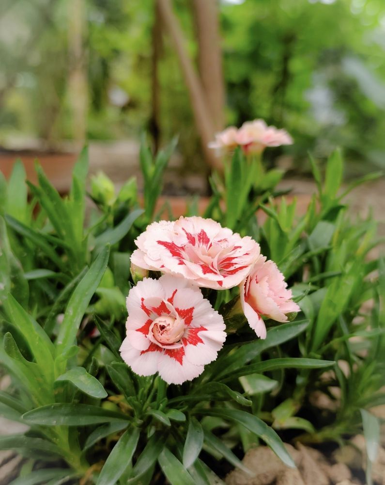 Photograph by Марина Бедрина