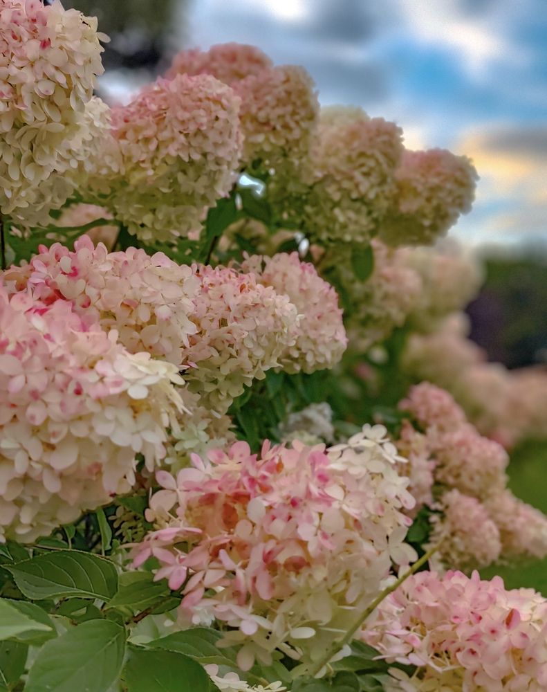 Photograph by Марина Бедрина