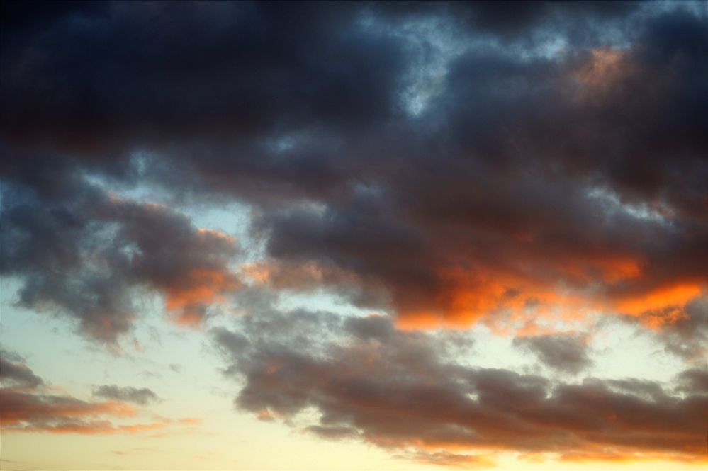 Photograph by Анастасия Конюхова