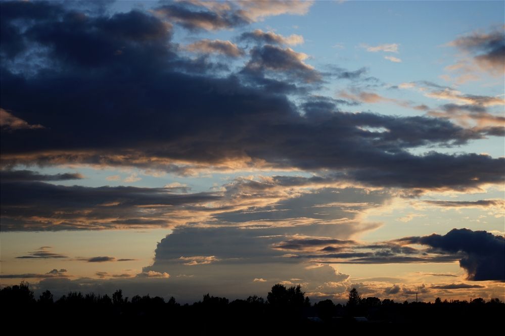 Photograph by Анастасия Конюхова