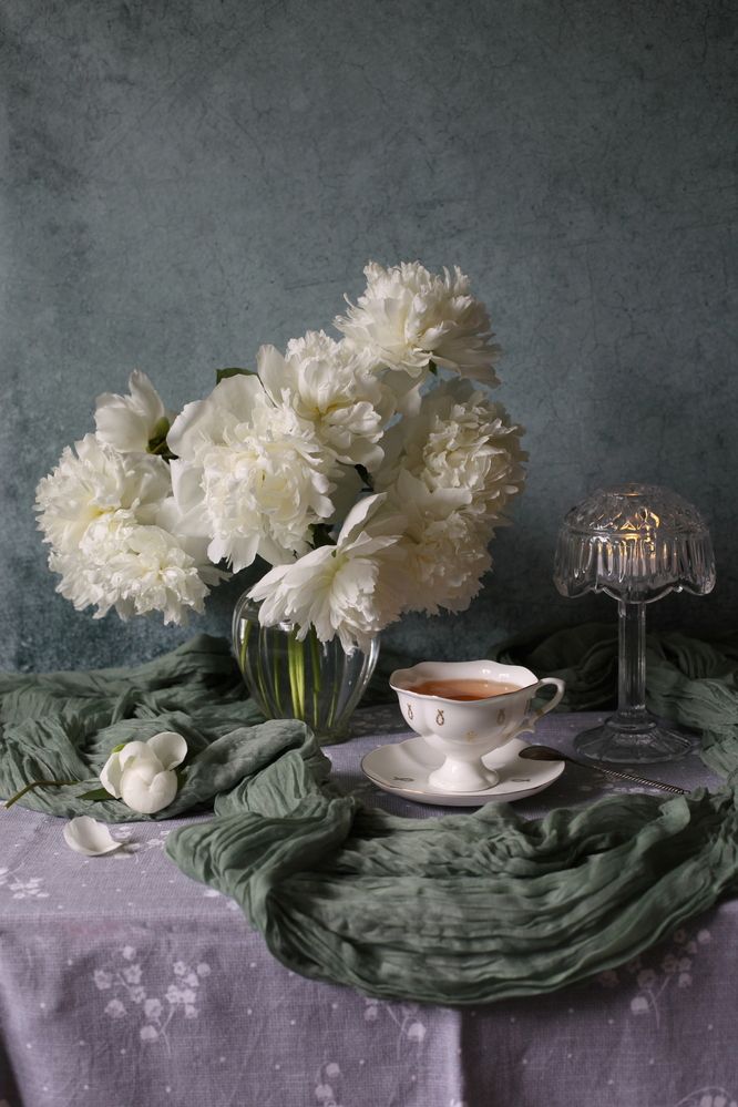 Белые пионы