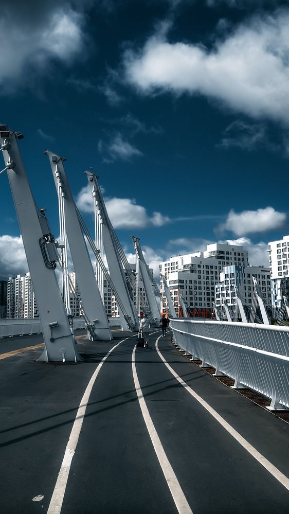 Фотография автора Елизавета Синицына