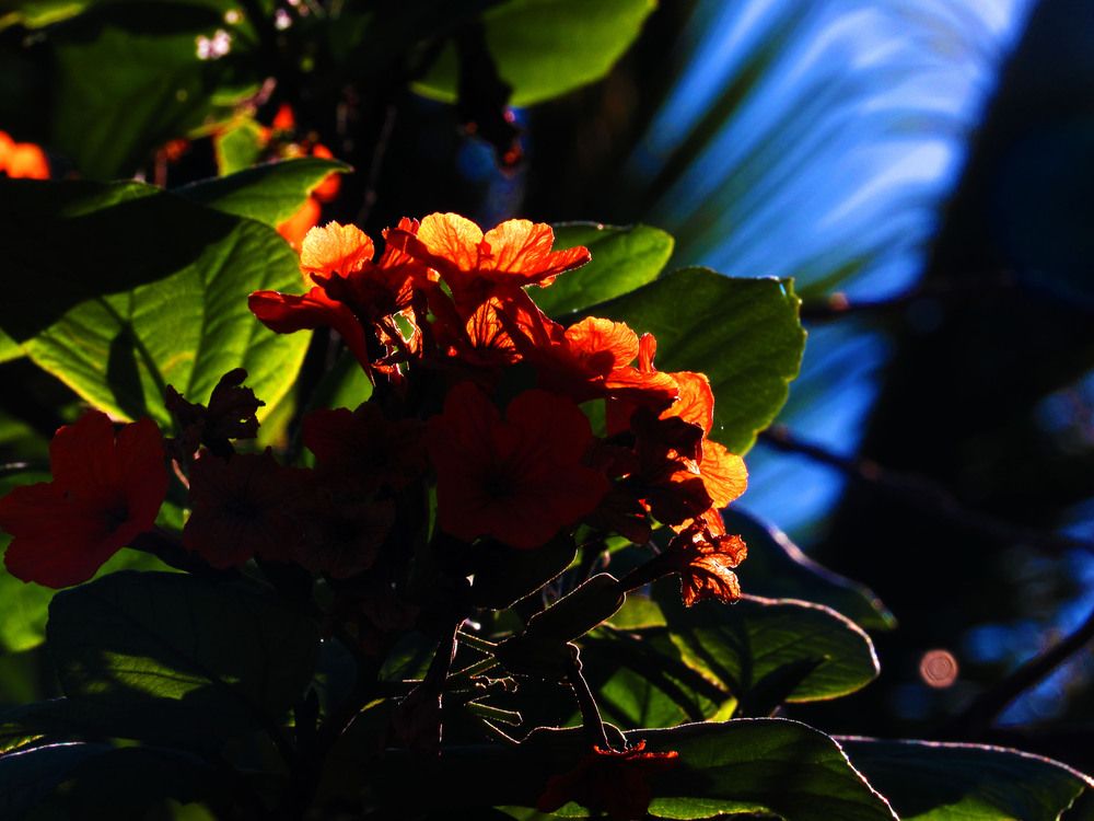 Photograph by Loraine Andrea Mariño Durañona