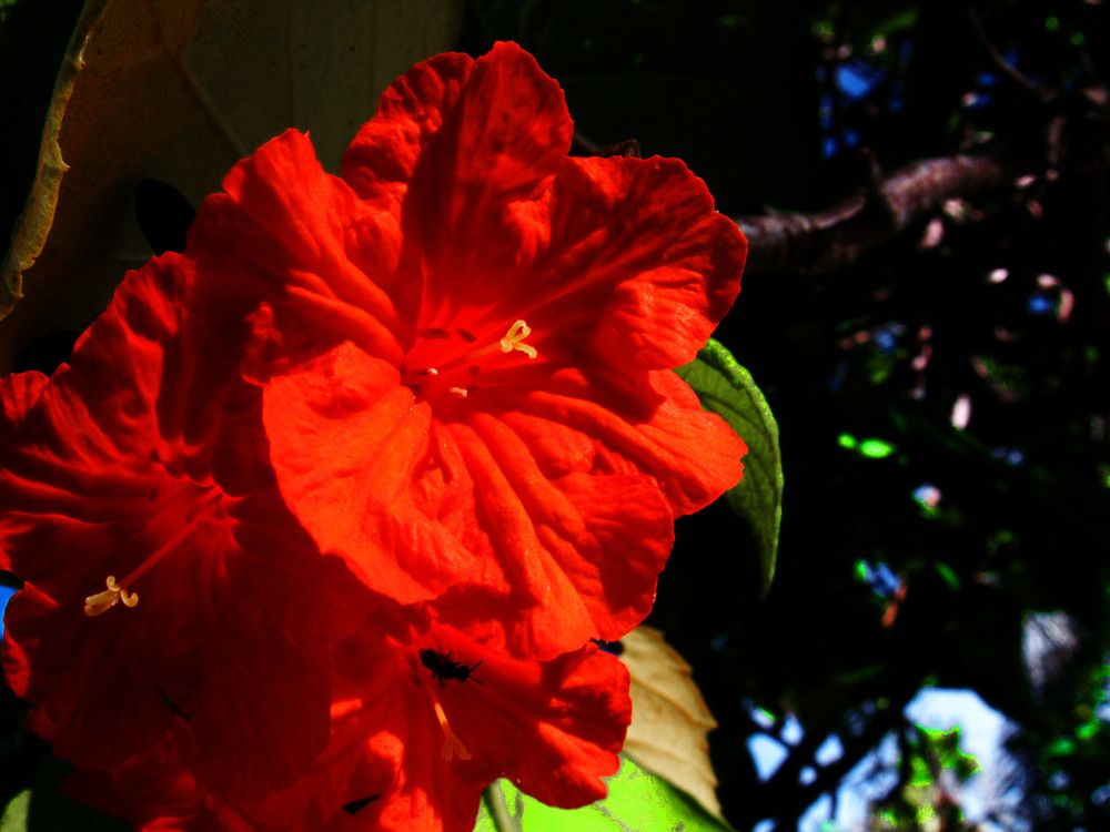 Photograph by Loraine Andrea Mariño Durañona