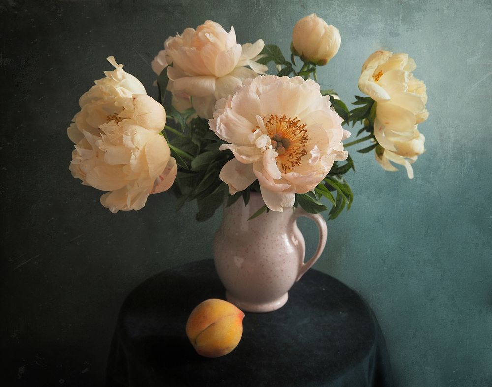 Фотография автора Vera Eremeeva