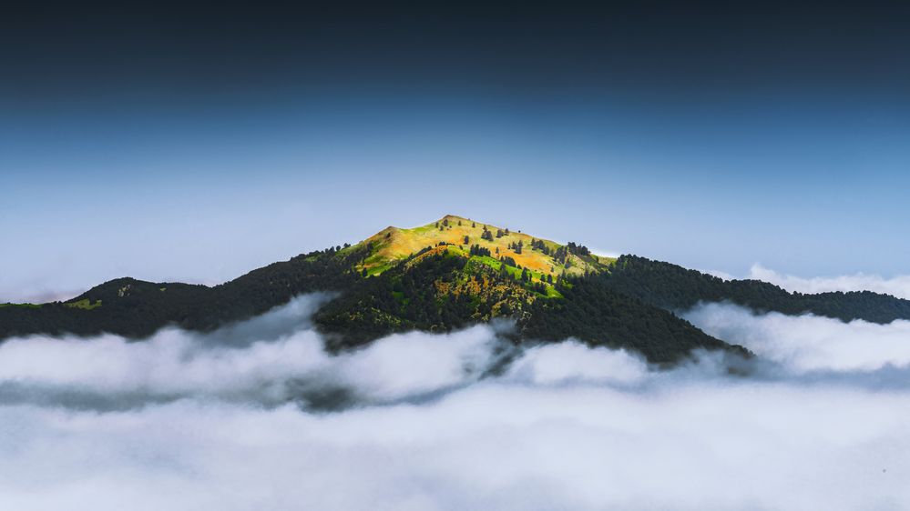 Photograph by Morteza Ghanbari