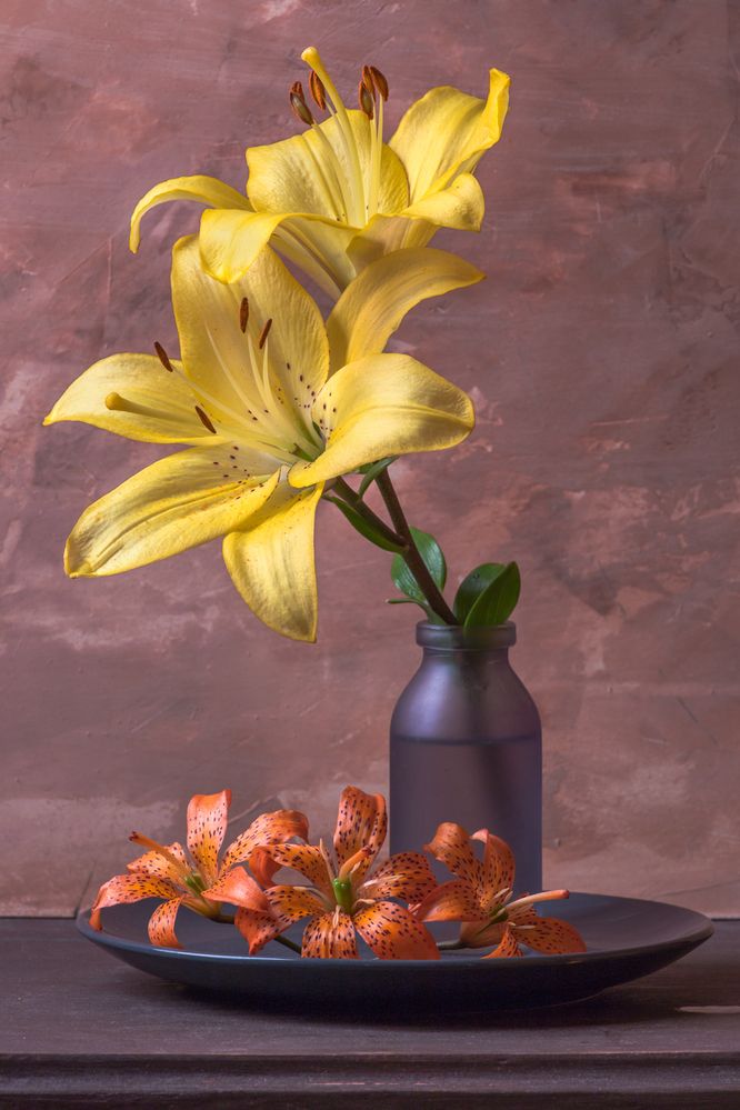 Photograph by Алексеев Сергей