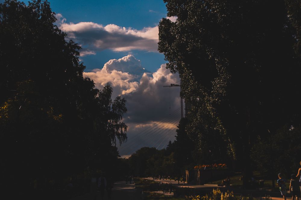Photograph by Евгения Сенченко
