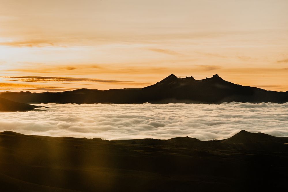 Photograph by Sandra Álvarez P