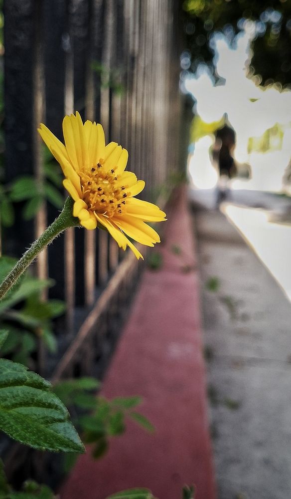 Photograph by Reinel Rodríguez Sánchez-Ossorio