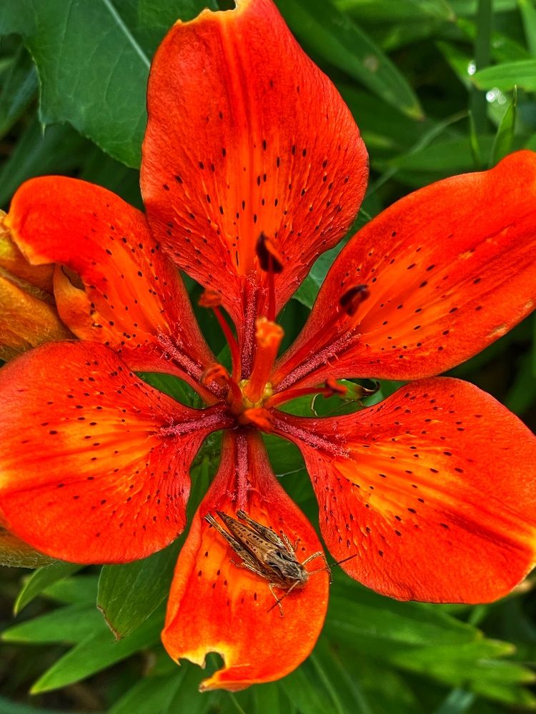 Фотография автора Nadezhda