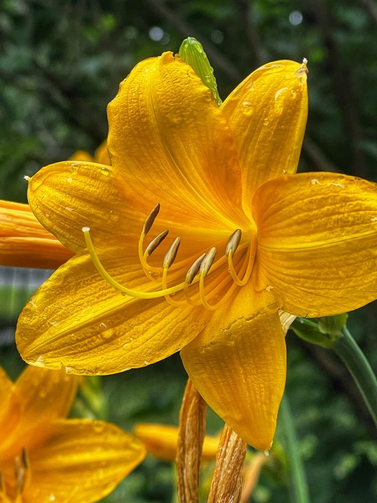 Фотография автора Nadezhda