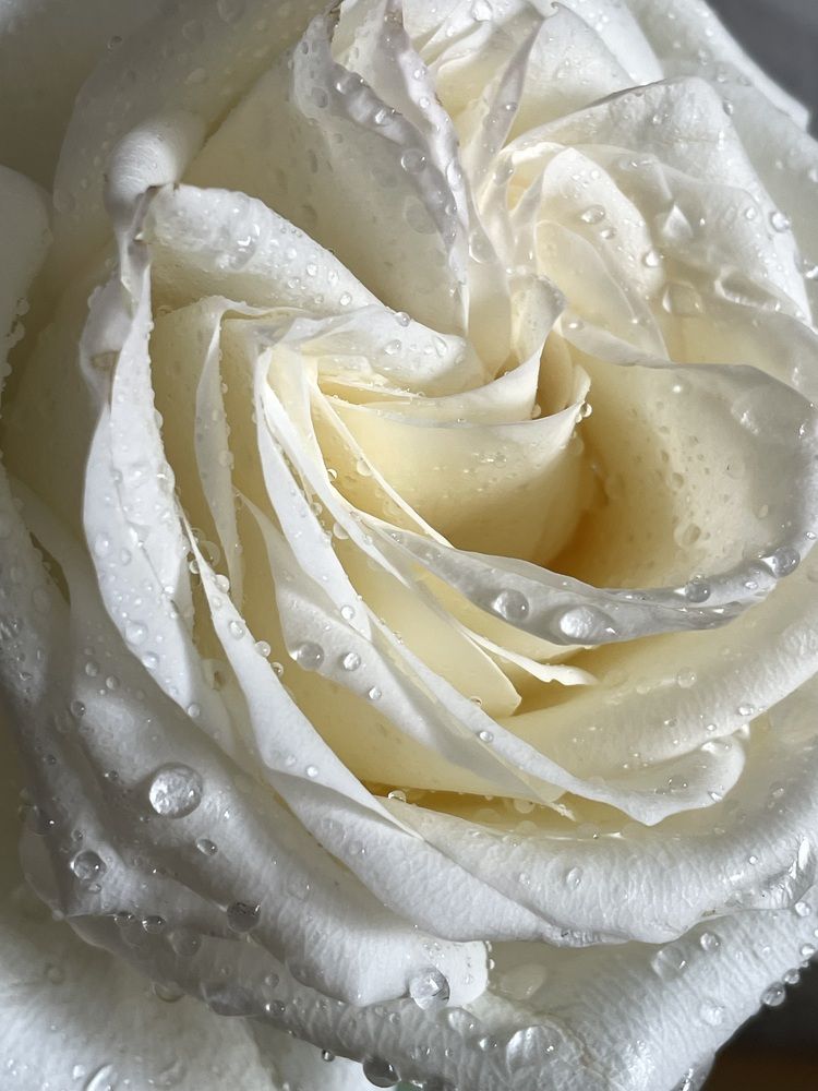 Фотография автора Nadezhda