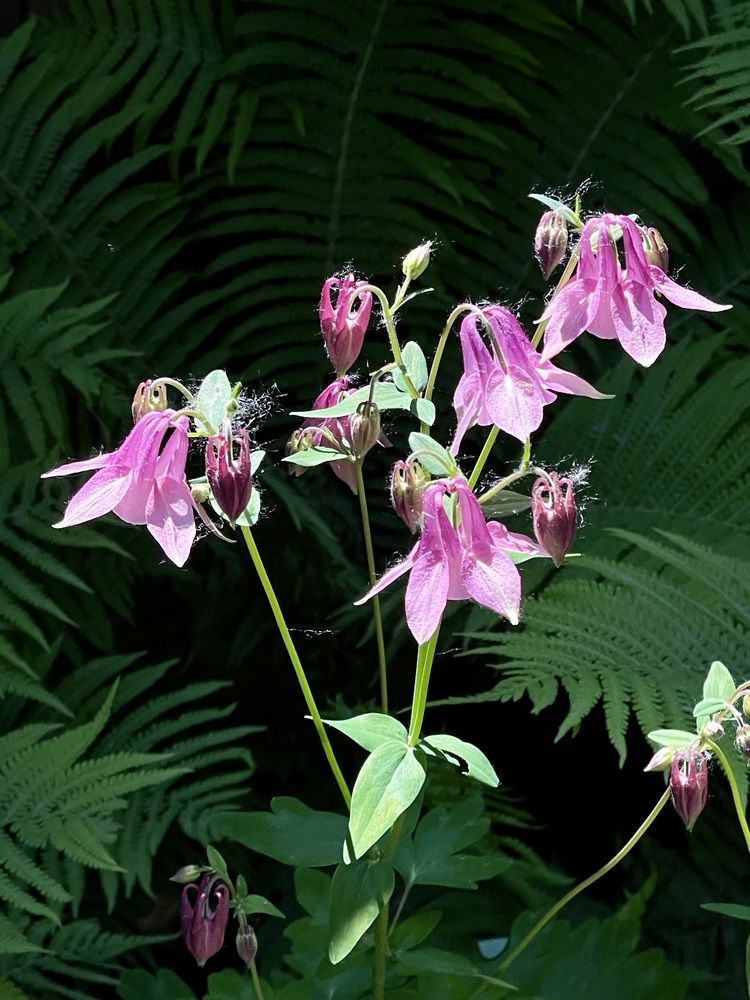 Фотография автора Nadezhda