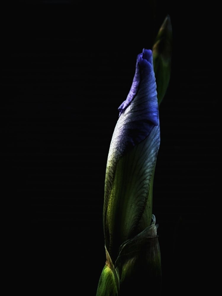 Фотография автора Евгения Владимировна