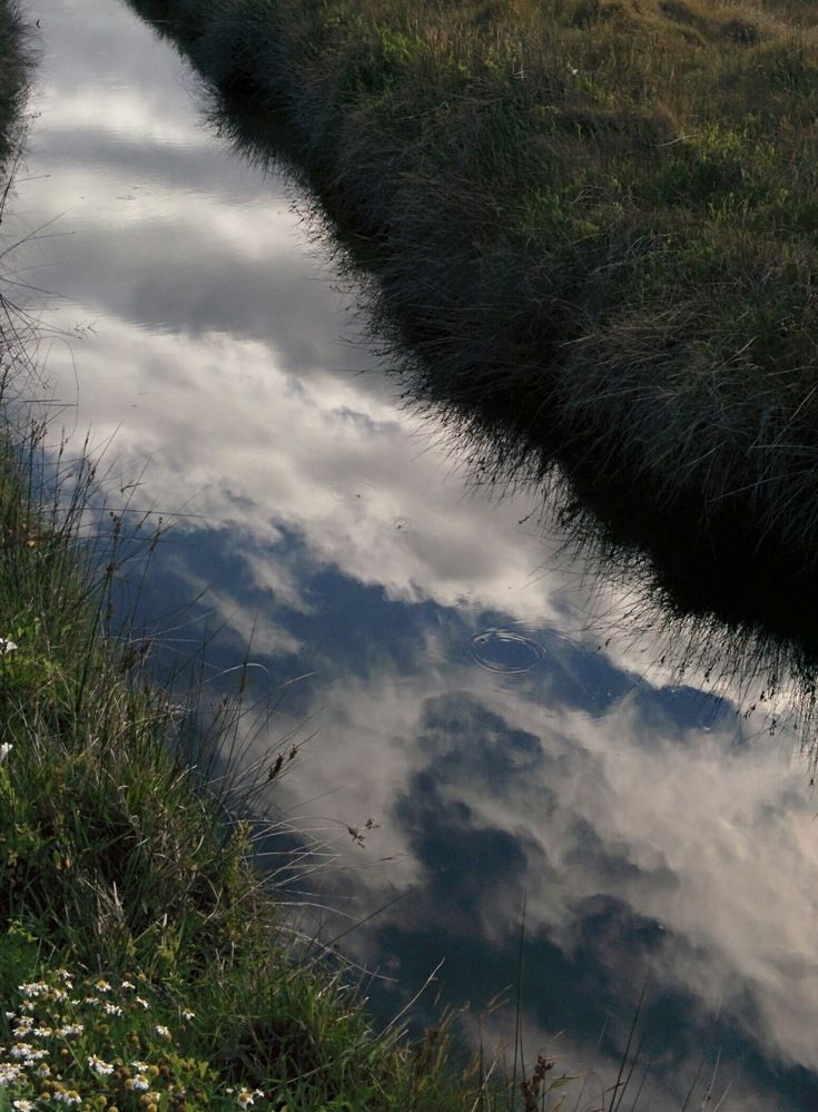 Отражение- вторая реальность