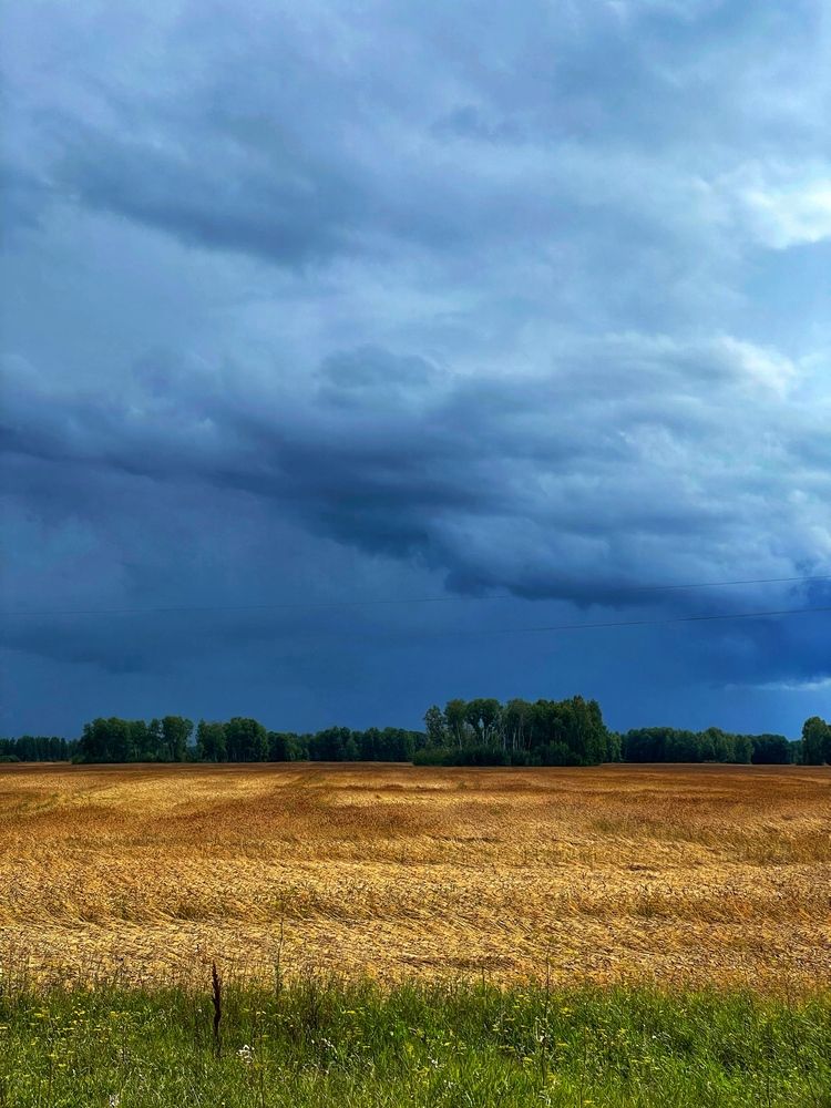 Фотография автора Nadezhda