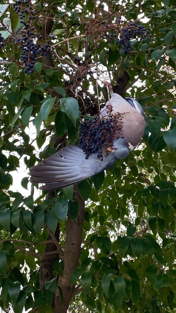 Удачный момент