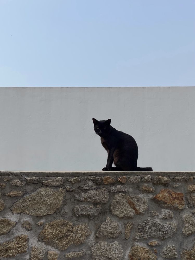 Фотография автора Елена Климова