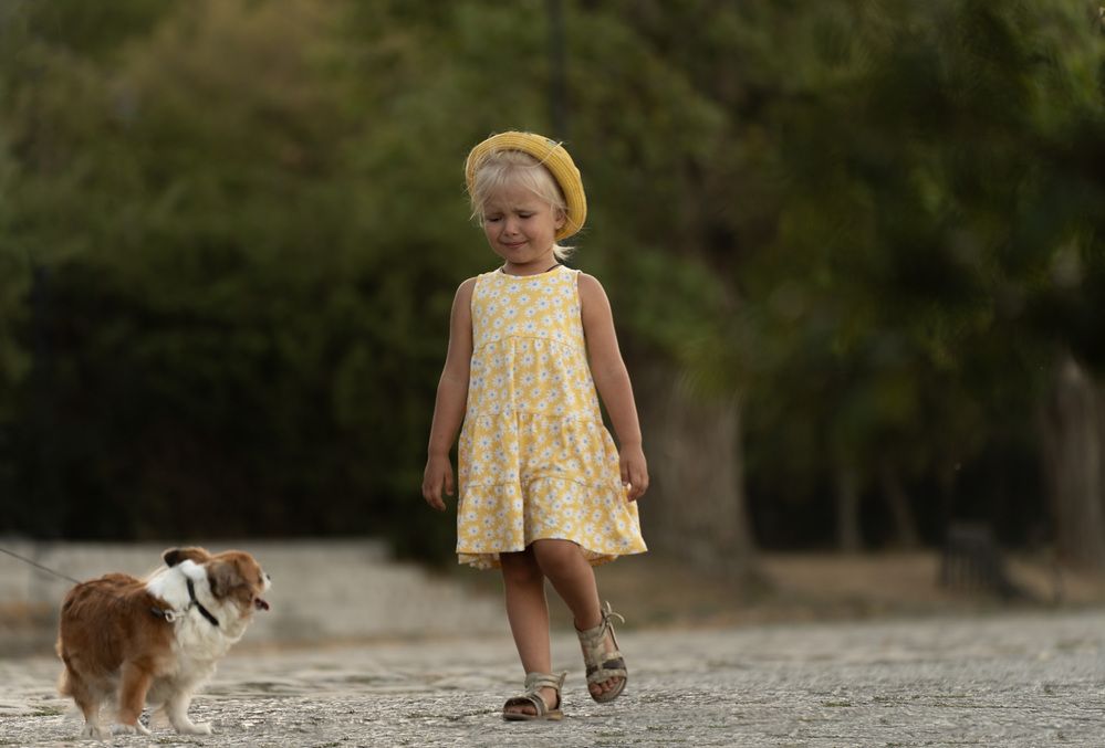 Фотография автора Светлана Зимина