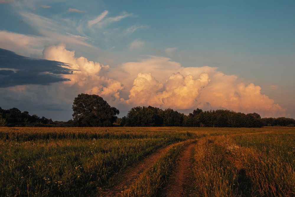Photograph by Анна Любимова