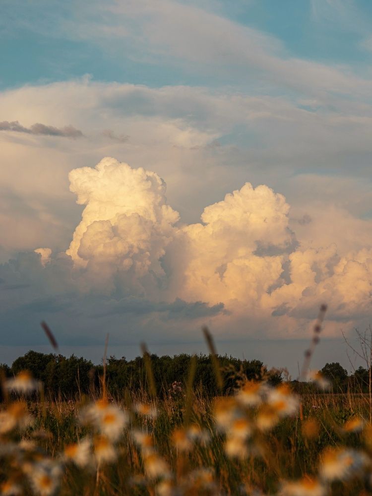 Photograph by Анна Любимова