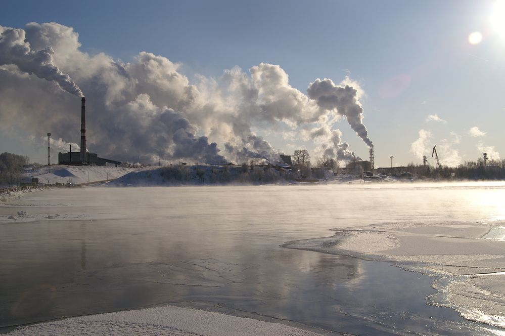 Фотография автора Светлана Зимина
