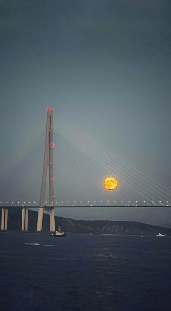 Фотография автора НАТАЛЬЯ СЕВЕР