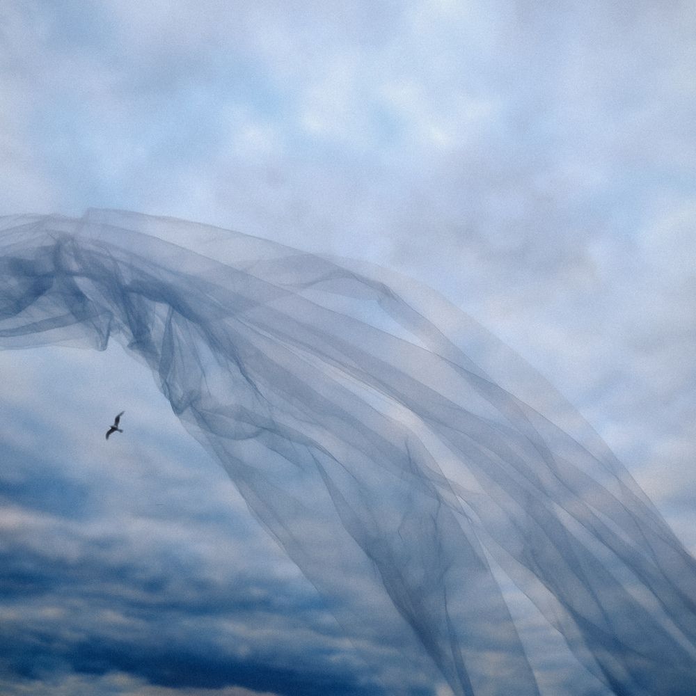 Photograph by Maria Stankevich