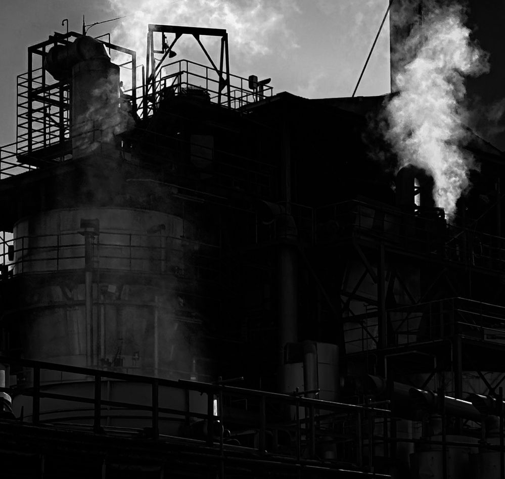 Фотография автора Mutsuaki