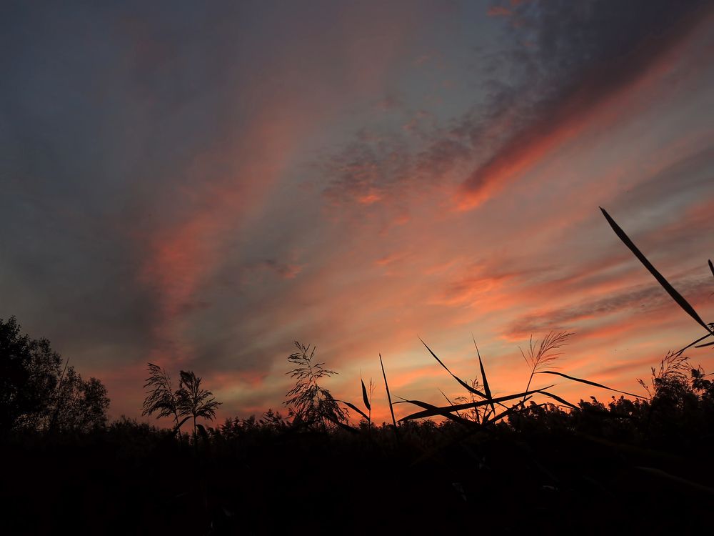 Photograph by Савоцкий Роман