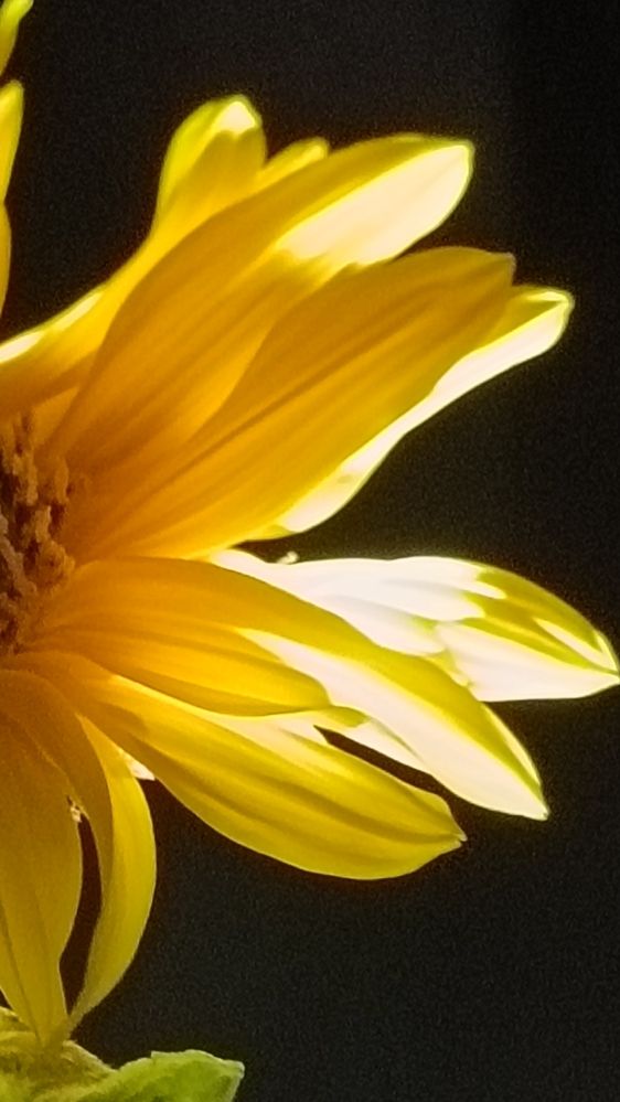 Photograph by Лариса Натальская