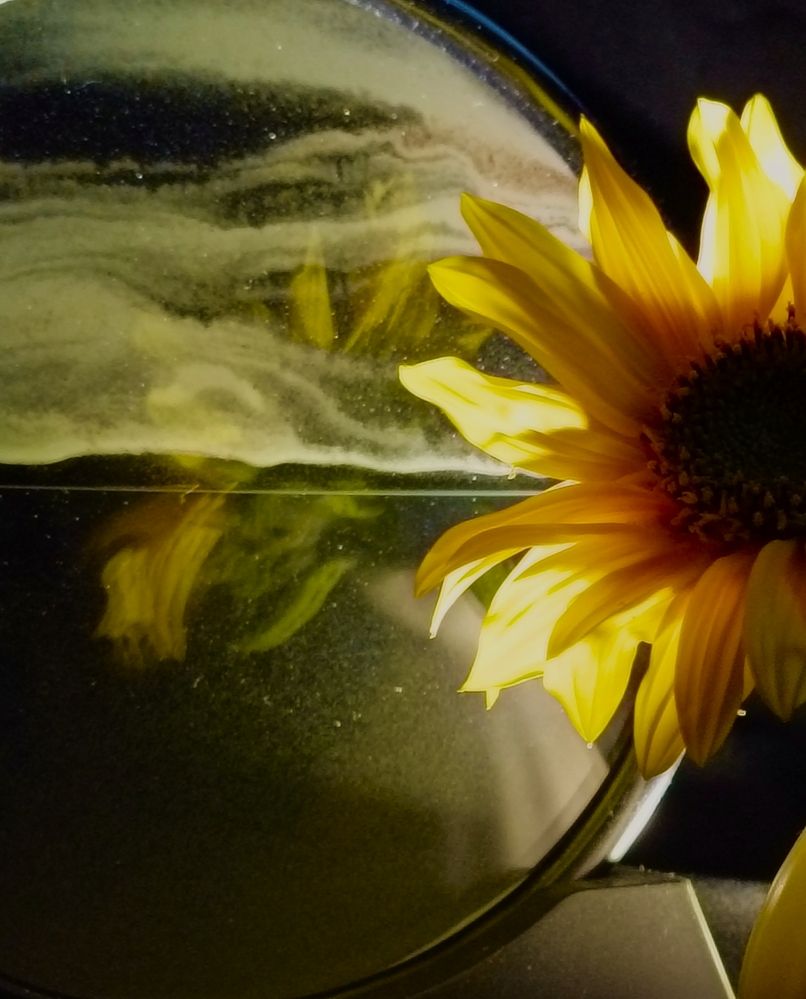 Photograph by Лариса Натальская