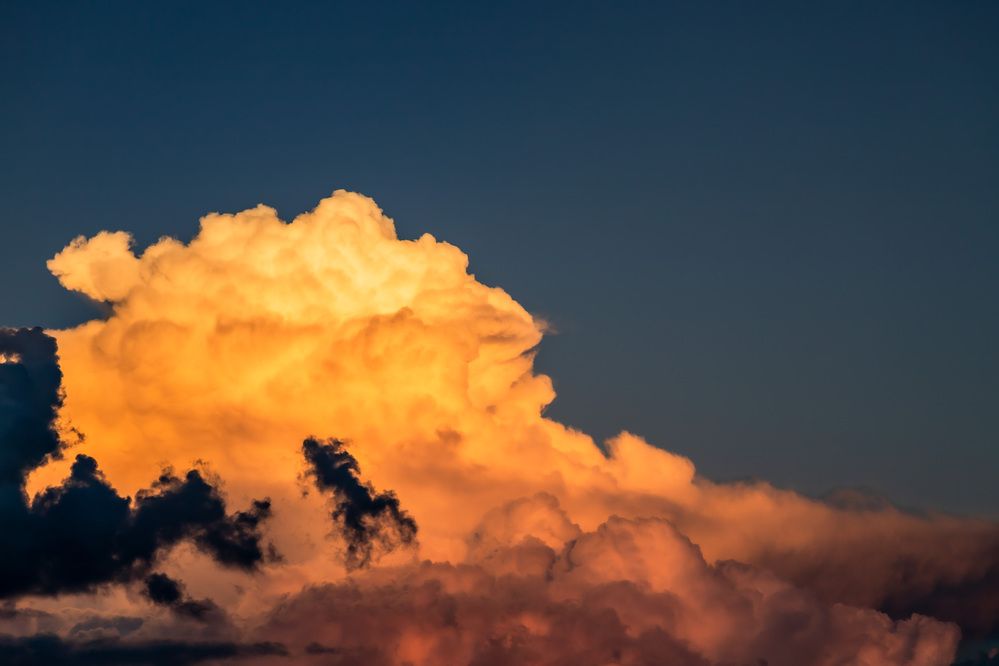 Фотография автора Marcelo Vaz