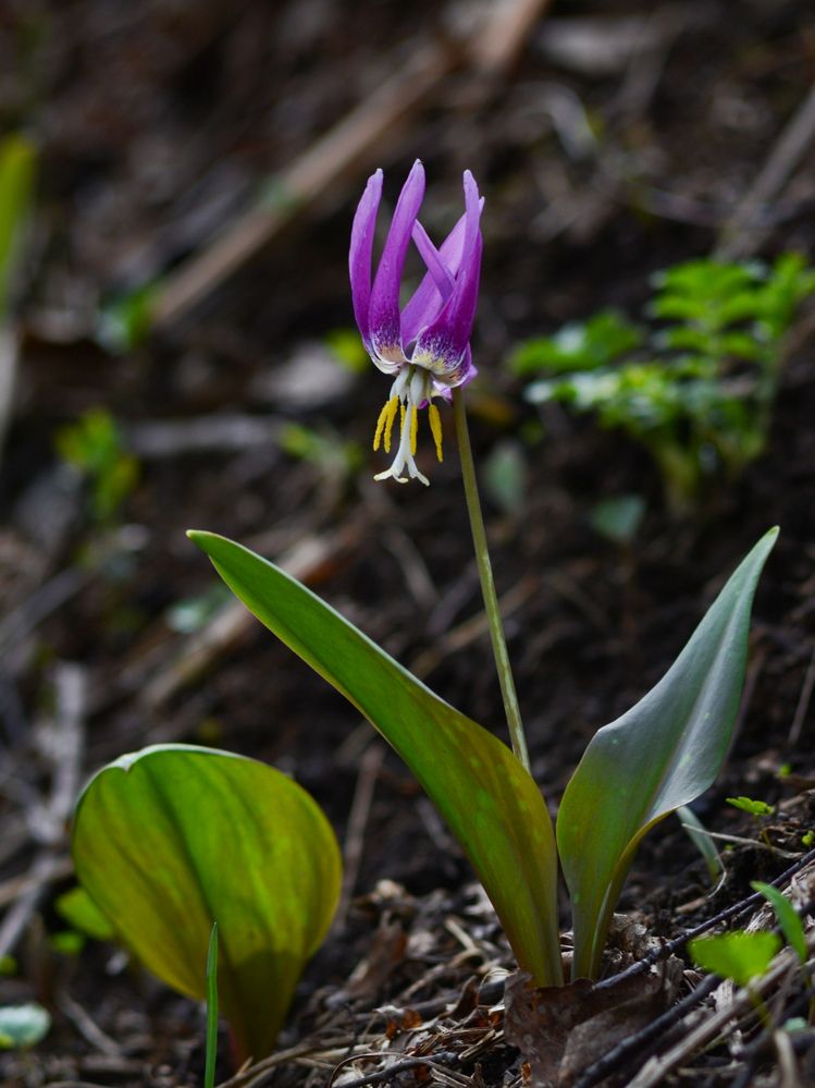 Photograph by Kirill Frolov