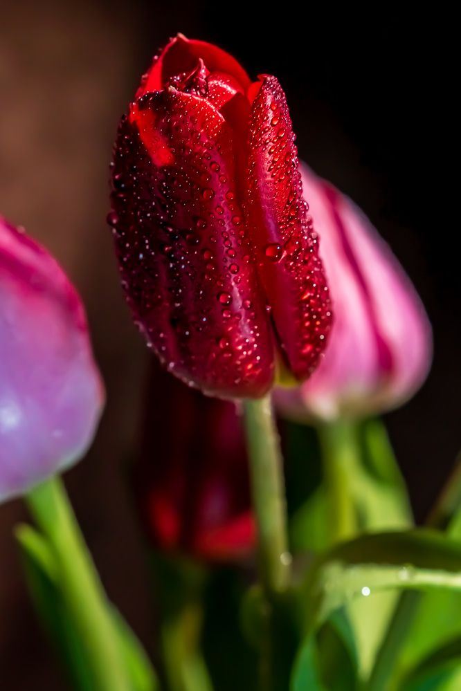 Photograph by Виктория Лобанова