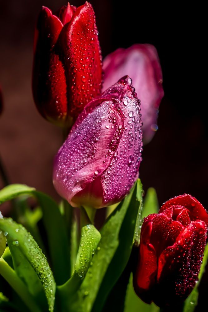 Photograph by Виктория Лобанова