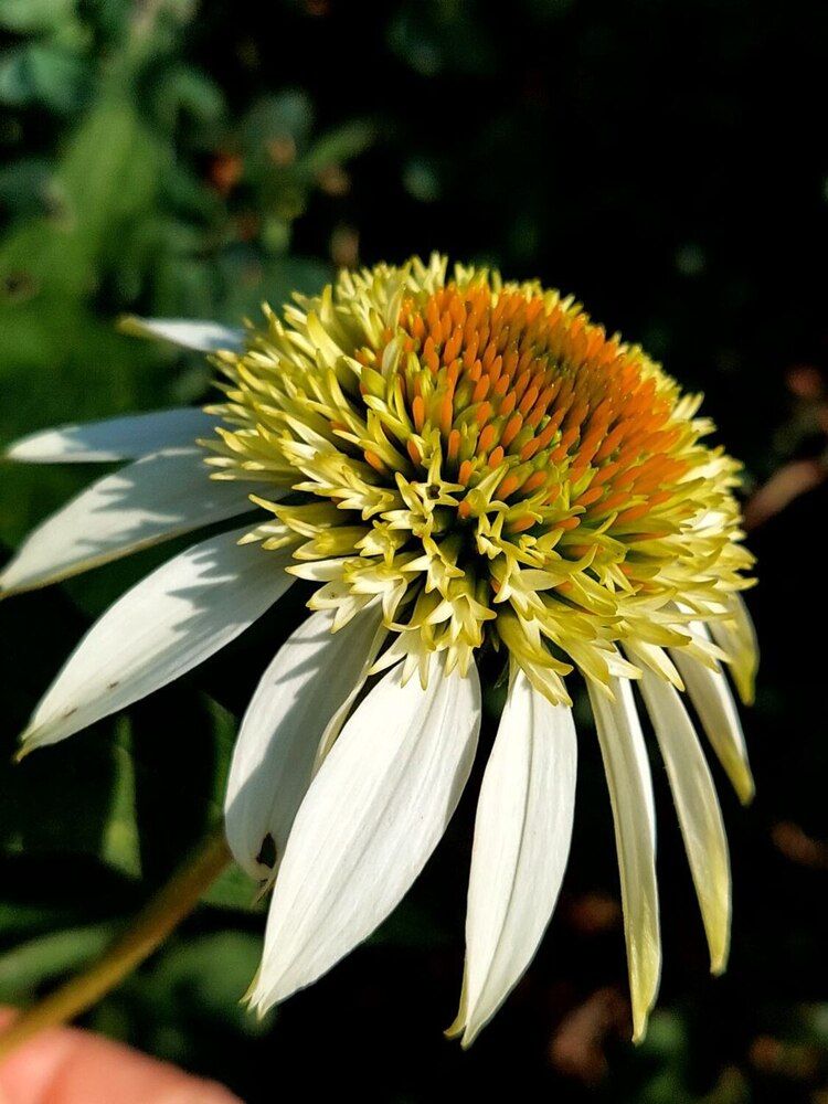 Photograph by Ирина