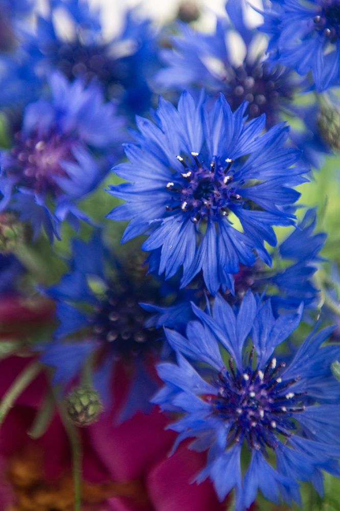 Фотография автора Aлексей Игнатьев