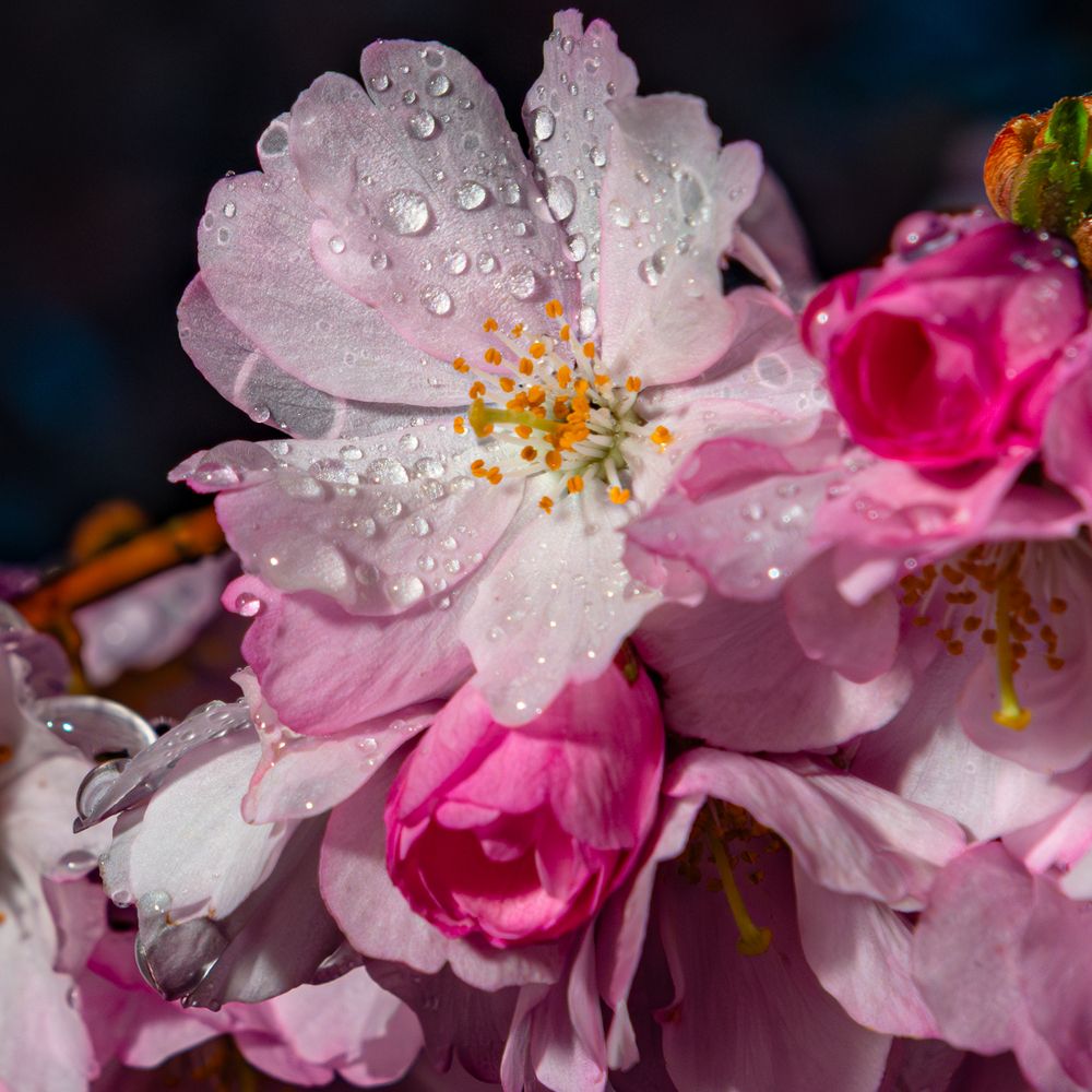 Фотография автора Aлексей Игнатьев