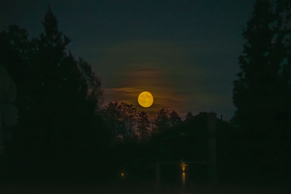 Фотография автора Aлексей Игнатьев