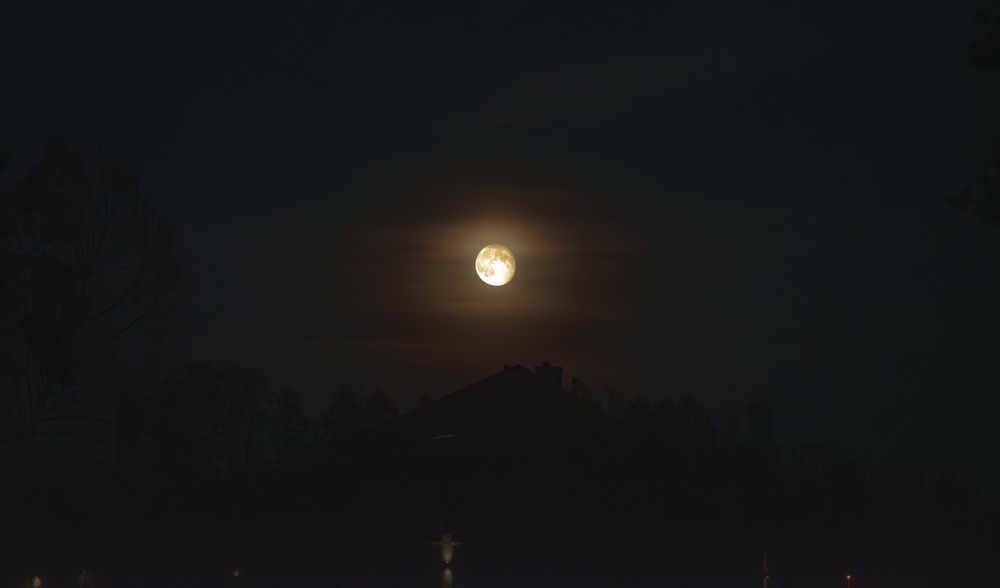 Фотография автора Aлексей Игнатьев