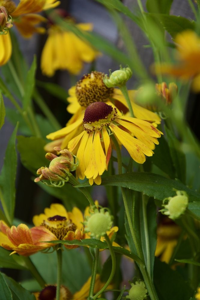 Photograph by OLGA LIZ