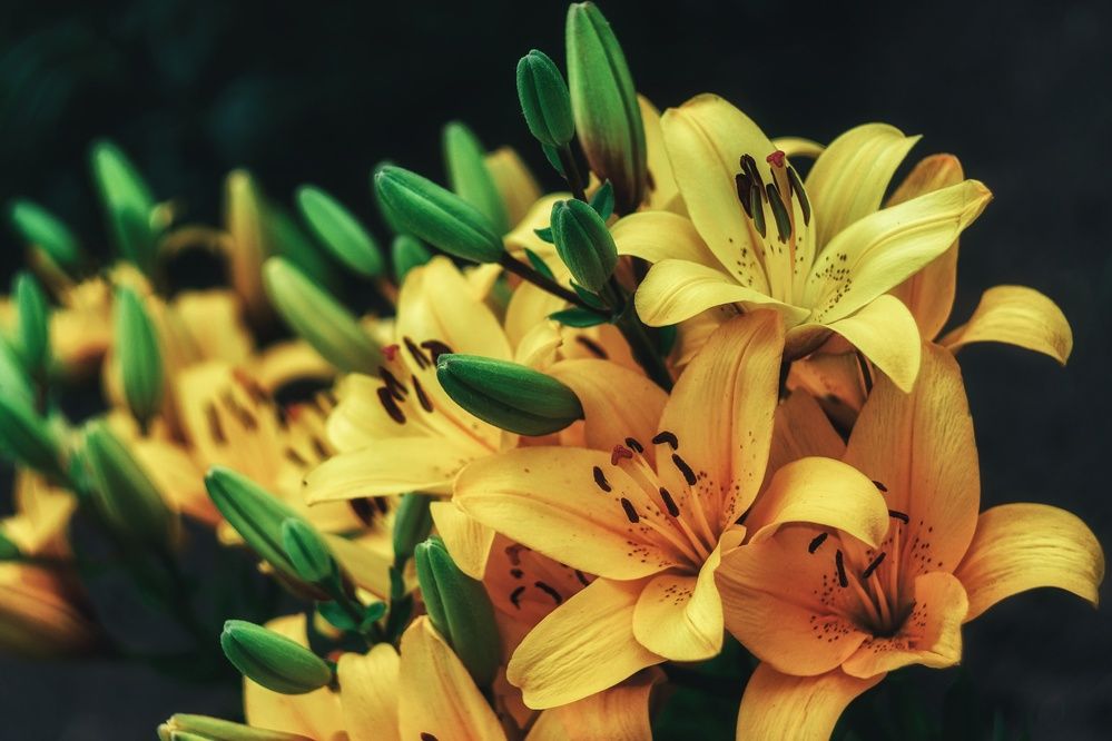 Фотография автора Сергей Вдовин