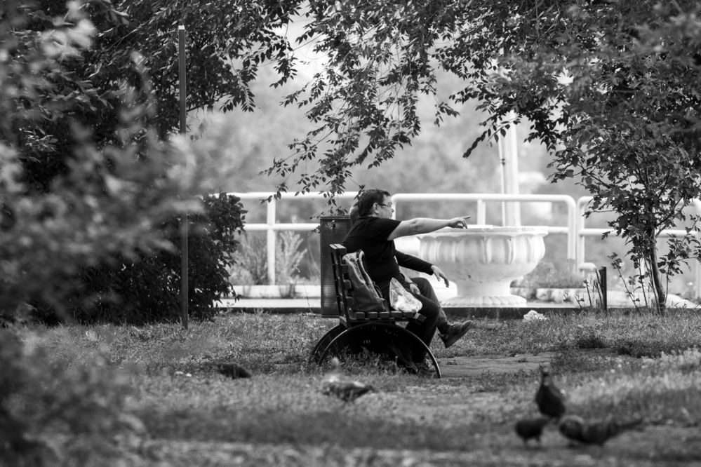 Photograph by Lapin Vitaly