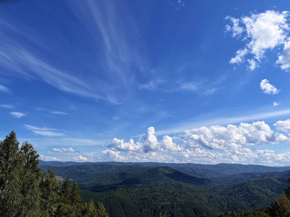 Photograph by OLGA LIZ