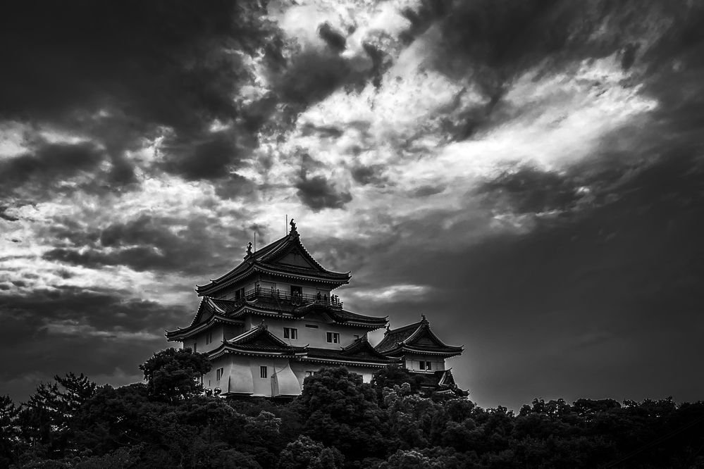 Photograph by KOHAGI